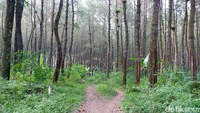 Namun untuk menuju ke perkampungan tersebut, harus melalui hutan karet dan beberapa kayu besar. Jalurnya hanya berupa jalan setapak dengan kontur naik turun. Jalan tersebut hanya cukup satu kendaraan roda dua. Jika berpapasan, salah satu kendaraan harus mengalah.