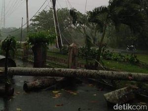 Hujan dan Angin Kencang di Kota Kisaran, Pohon-Tiang Listrik Tumbang
