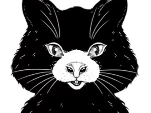 Tes Kepribadian: Kucing atau Tikus yang Pertama Kamu Lihat di Gambar Ini?