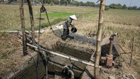 Petani setempat terpaksa mengelurkan biaya ekstra untuk membuat sumur pompa guna mengairi sawah akibat pasokan air irigasi dari waduk berkurang kerena kemarau. Foto: ANTARA FOTO/Mohammad Ayudha