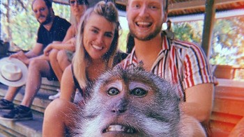 Ternyata, ada cara untuk berfoto monyet selfie. Dibagikan oleh akun @giewahyudi, ketika bule siap foto dengan monyet, seseorang di belakang kamera akan mengayunkan makanan sehingga monyet mengulurkan tangan. Nah, saat monyet menjulurkan tangan, foto diambil. Hasilnya, nampak seperti monyet yang memotret. Foto: giewahyudi/Twitter