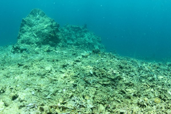 Penyelaman dilakukan di 3 titik yaitu Pulau Barrang Lompo, Pulau Barrang Caddi, dan Kodingareng Keke. Saat turun, bukan karang-karang cantik yang dtemui. (Ria Qorina/Green Peace) Penyelaman dilakukan di 3 titik yaitu Pulau Barrang Lompo, Pulau Barrang Caddi, dan Kodingareng Keke. Saat turun, bukan karang-karang cantik yang dtemui. (Ria Qorina/Green Peace)