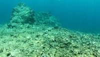 Penyelaman dilakukan di 3 titik yaitu Pulau Barrang Lompo, Pulau Barrang Caddi, dan Kodingareng Keke. Saat turun, bukan karang-karang cantik yang dtemui. (Ria Qorina/Green Peace)