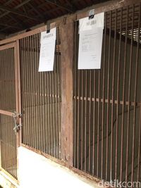 Anjingnya Tewaskan ART, Bima Aryo: Musibah Ini Sangat Tak Terduga