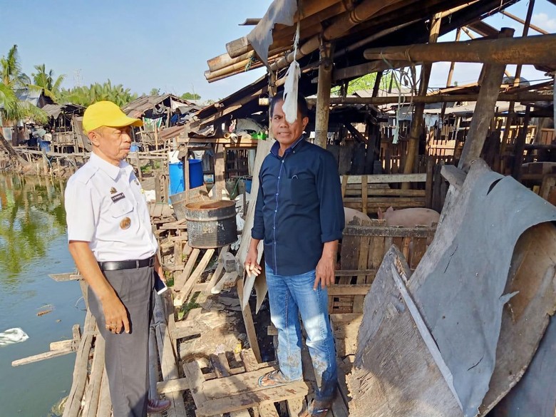 Pemkot Makassar Larang Peternakan Babi di Jalan Haji Kalla Pemkot Makassar Larang Peternakan Babi di Jalan Haji Kalla