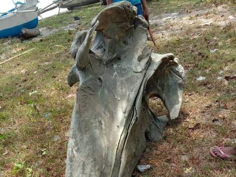 Tulang yang ditemukan di pinggir pantai Siwalempu, Donggala, Sulteng/DOK. Polres Donggala