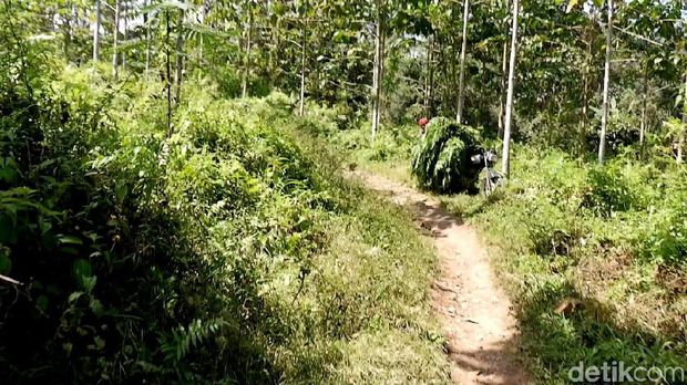Jalan menuju kampung 'Hilang' di Banyuwangi/