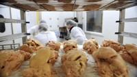 Banyak produsen foie gras yang mampu memproduksi ratusan hati angsa per harinya. Bahkan beberapa produsen menggunakan alat-alat canggih agar foie gras tetap memiliki kualitas terbaik. Foto: Istimewa