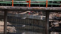 Minimnya Ruang Terbuka Hijau (RTH) di kawasan tersebut, membuat mereka untuk memilih bermain di bantaran Kali Grogol, Palmerah Barat, Jakarta.