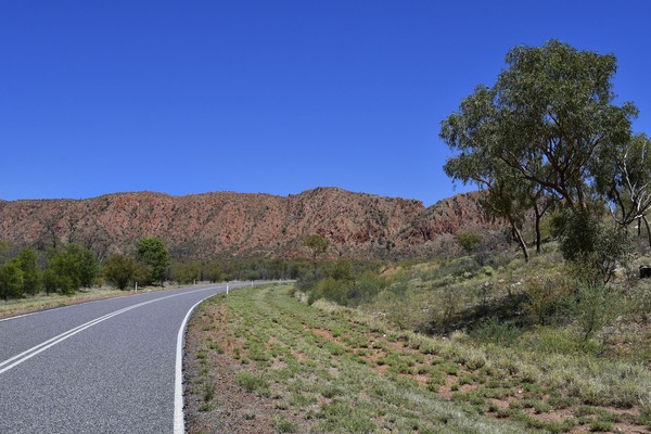 Terakhir, traveler bisa mencoba rute Red Centre Way, perjalanan darat menyusuri pedalaman selama 7 hari di Australia. Kamu bisa melihat keajaiban alam Uluru dan kebudayaan tradisional dari pemilik tanah asli, Suku Aborigin. (iStock)