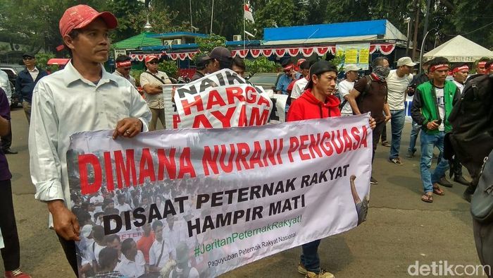 Foto: Demo peternak ayam - Trio Hamdani, detikcom Foto: Demo peternak ayam - Trio Hamdani, detikcom