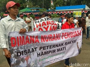 Harga Ayam Anjlok, Ratusan Peternak Geruduk Kantor Darmin