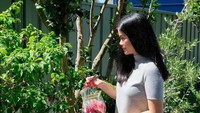Wanita yang berprofesi sebagai dokter gigi ini terlihat seperti sedang panen buah. Padahal kalau dilihat lebih dekat, Rasyena sedang memanen cabai terpedas di dunia. Huaaal! Foto: instagram rasyena