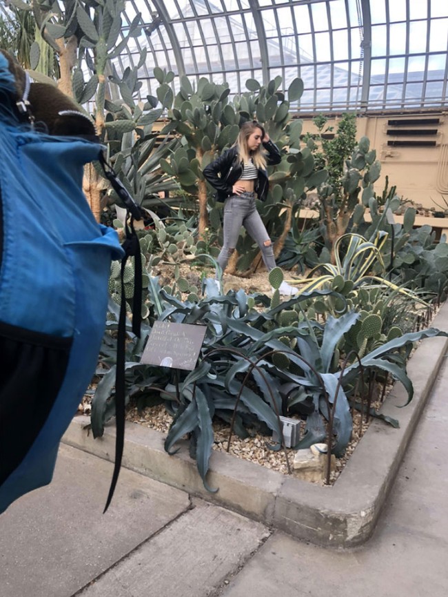 Demi foto menarik, banyak orang berusaha keras mencari spot menarik. Namun sebaiknya bukan sesuatu yang merugikan atau membahayakan. Seorang netizen mengungkap kelakukan influencer yang menginjak tanaman di konservatori demi Instagram padahal sudah berkali-kali diminta untuk turun. Foto: Reddit