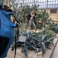 Demi foto menarik, banyak orang berusaha keras mencari spot menarik. Namun sebaiknya bukan sesuatu yang merugikan atau membahayakan. Seorang netizen mengungkap kelakukan influencer yang menginjak tanaman di konservatori demi Instagram padahal sudah berkali-kali diminta untuk turun. Foto: Reddit