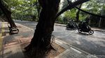 Aduh! Kabel Semrawut Ganggu Trotoar Jalan Lauser