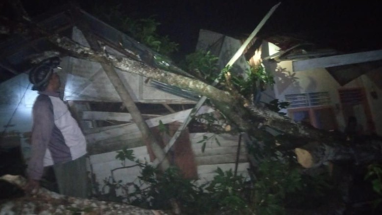 Diterjang Angin Kencang, Pohon Tumbang Timpa 2 Rumah Warga di Aceh