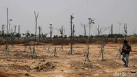 Kawasan yang dibangun untuk menjadi salah satu pengendali banjir di Jakarta kala musim hujan itu justru kini nampak mengering dan terlihat tak terurus.