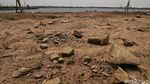 Nasib Waduk Rorotan yang Kian Memprihatinkan