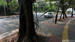 Aduh! Kabel Semrawut Ganggu Trotoar Jalan Lauser