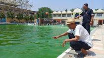 Air Kolam Renang Milik Pemkab Brebes Dikeluhkan Bikin Kulit Gatal Air Kolam Renang Milik Pemkab Brebes Dikeluhkan Bikin Kulit Gatal