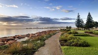 Kamu juga bisa coba rute South West Corner yang belum banyak diketahui turis. Perjalanan dimulai dari Perth menuju ke Margaret River, di sini kamu bisa mencicipi wine dan keju, zaitun, hingga cokelat terbaik di Australia. (iStock)