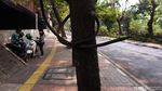 Aduh! Kabel Semrawut Ganggu Trotoar Jalan Lauser