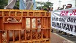 Harga Jual Anjlok, Peternak Ayam Demo Pemerintah