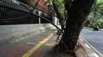 Aduh! Kabel Semrawut Ganggu Trotoar Jalan Lauser
