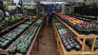 Beragam persiapan terus dilakukan jelang pembukaan Pameran Flora Fauna 2019 di Jakarta, Jumat (6/9/2019).