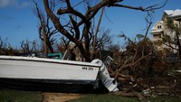 Boat lainnya mendarat di bawah pepohonan. REUTERS/Marco Bello.
