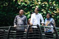 Di Pontianak, Presiden Jokowi Tanam Pohon Durian Serombut 