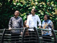 Pak Jokowi, Papua Lebih Butuh Infrastruktur Daripada Istana