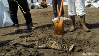 Pada tanggal 17 Agustus, warga juga menemukan seekor lumba-lumba mati di pesisir Pantai Cilebar.