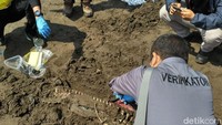 Diduga lumba-lumba itu mati saat mencoba mengambil udara ke permukaan laut. Namun, karena di permukaan air terdapat banyak minyak mentah yang mengambang diduga lumba-lumba itu ikut menghisapnya.