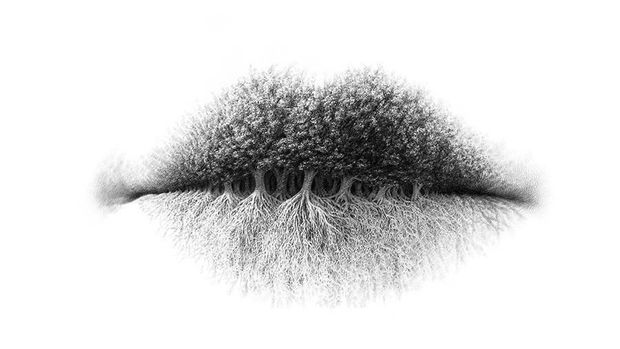 Tes Kepribadian: Kamu Introvert atau Ekstrovert? Lihat Gambar Ini