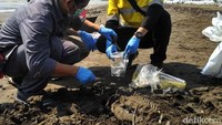 Verifikator dari PSPL, Kementerian Kelautan dan Perikanan mengambil sampel dari tubuh lumba-lumba hidung botol yang diduga mati akibat menghisap minyak mentah di perairan Karawang.