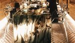 Pemandangan Keren di Restoran yang Memiliki Hutan dan Gua di Dalamnya