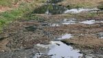Penampakan Kanal Banjir Timur yang Surut Kala Musim Kemarau