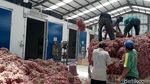 Teknologi Ini Bikin Petani Tak Perlu Cemas Harga Bawang Anjlok