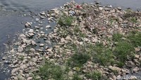 Sejumlah sampah pun nampak terlihat di Kanal Banjir Timur.