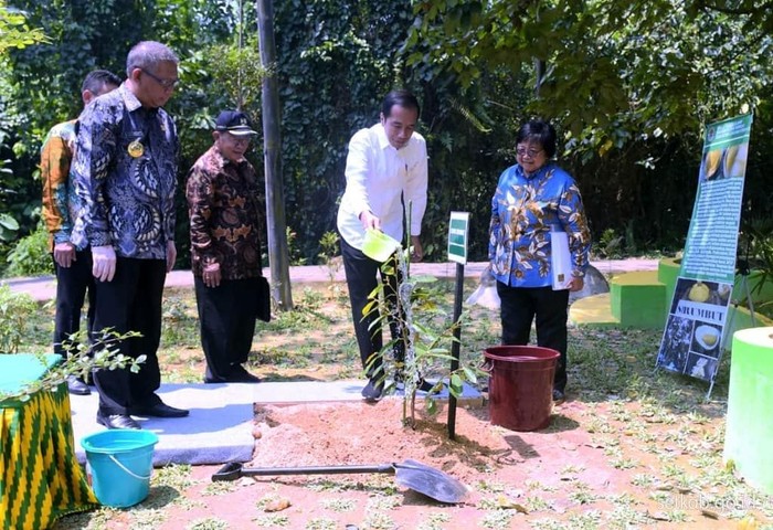 Foto: istimewa Foto: istimewa