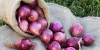 Kendalikan Kolesterol dan Gula Darah, 7 Khasiat Sehat Bawang Merah