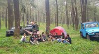 (dok MTMA)
