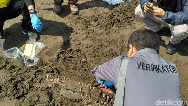 2 Lumba-lumba Mati di Pantai Karawang, Diduga Terpapar Tumpahan Minyak