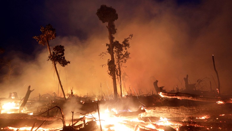 Kebakaran Hutan Amazon, 7 Negara Teken Perjanjian Perlindungan Lembah Sungai Kebakaran Hutan Amazon, 7 Negara Teken Perjanjian Perlindungan Lembah Sungai