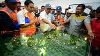 Saat ini Kementerian PUPR melalui Balai Besar Pelaksanaan Jalan Nasional (BBPJN) VIII tengah menyelesaikan pembangunan shortcut di 4 lokasi yakni shortcut 3,4,5 dan 6 yang ditargetkan selesai sesuai kontrak bulan Desember 2019. Pool/Kementerian PUPR.