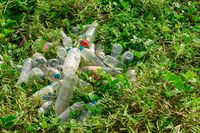 Manusia Ternyata Menelan Sampah Mikroplastik Tiap Hari