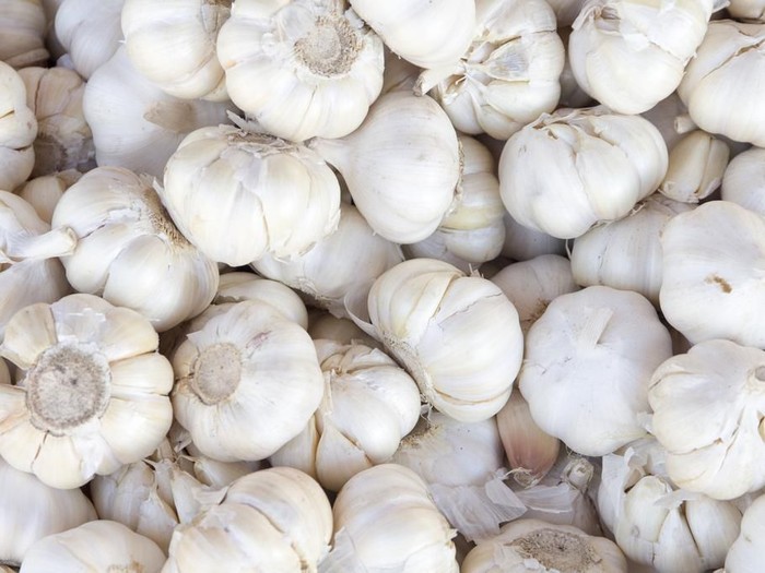 Manfaat Bawang Putih, Ini 7 Kebaikannya untuk Tubuh/Foto: shutterstocks Manfaat Bawang Putih, Ini 7 Kebaikannya untuk Tubuh/Foto: shutterstocks