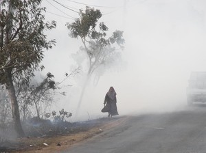 Udara di Pekanbaru hingga Bengkalis Berbahaya!